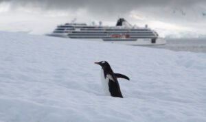Viking Exploration Cruises